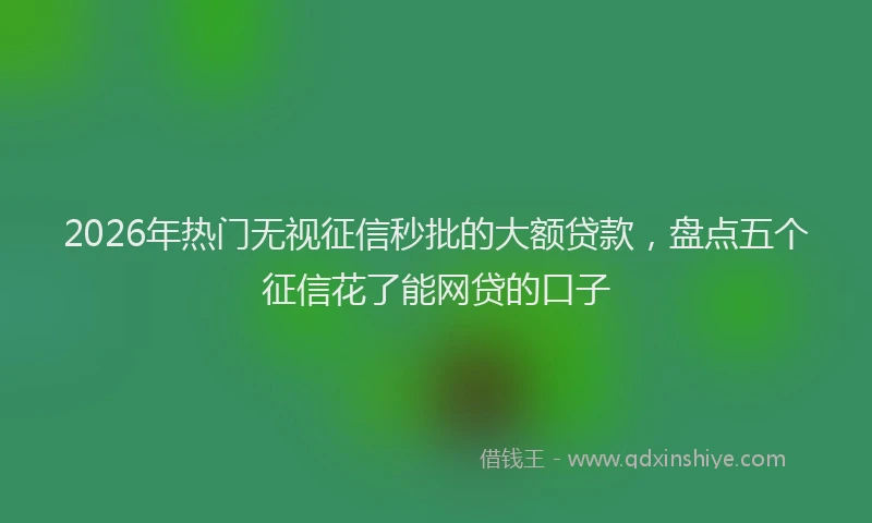 2026年热门无视征信秒批的大额贷款，盘点五个征信花了能网贷的口子