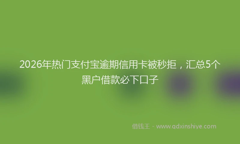 2026年热门支付宝逾期信用卡被秒拒，汇总5个黑户借款必下口子
