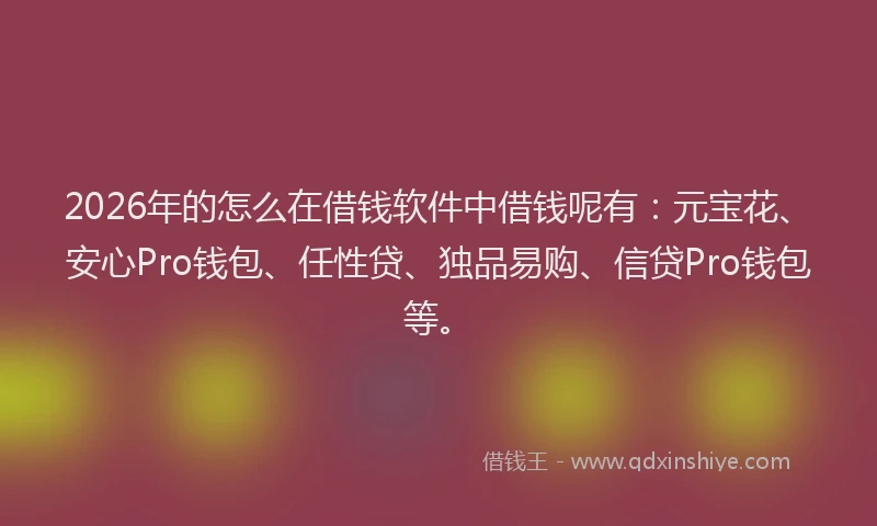 2026年的怎么在借钱软件中借钱呢有：元宝花、安心Pro钱包、任性贷、独品易购、信贷Pro钱包等。