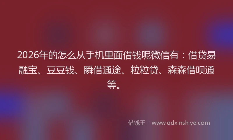 2026年的怎么从手机里面借钱呢微信有:借贷易融宝、豆豆钱、瞬借通途、粒粒贷、森森借呗通等。