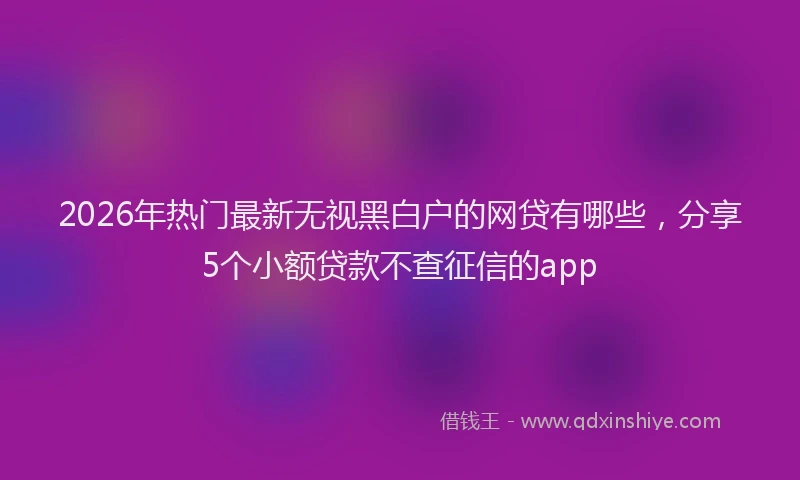 2026年热门最新无视黑白户的网贷有哪些，分享5个小额贷款不查征信的app