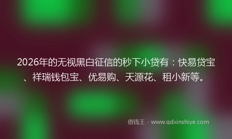 2026年的无视黑白征信的秒下小贷有：快易贷宝、祥瑞钱包宝、优易购、天源花、租小新等。