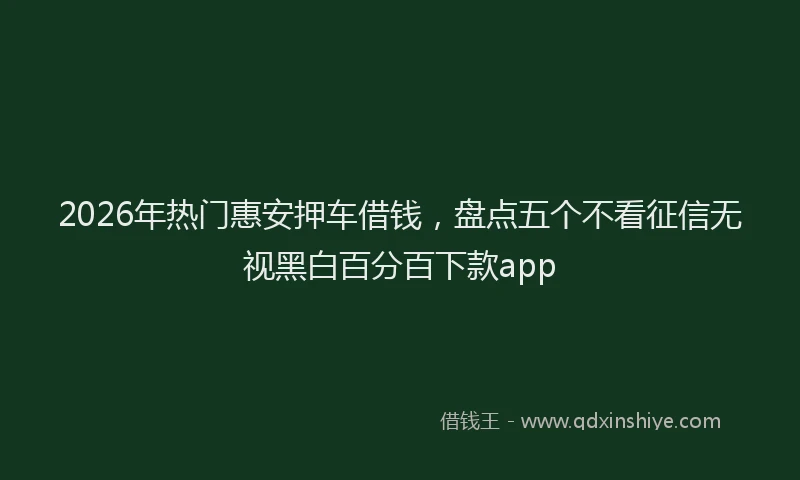 2026年热门惠安押车借钱，盘点五个不看征信无视黑白百分百下款app