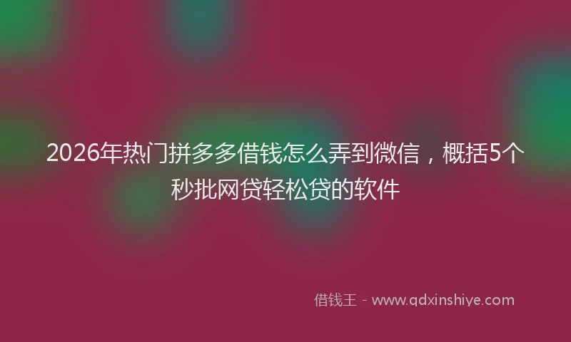 2026年热门拼多多借钱怎么弄到微信，概括5个秒批网贷轻松贷的软件