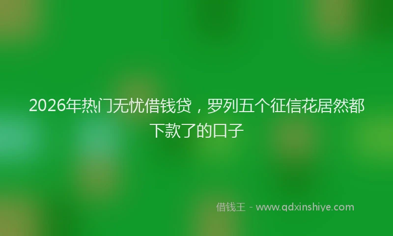 2026年热门无忧借钱贷,罗列五个征信花居然都下款了的口子