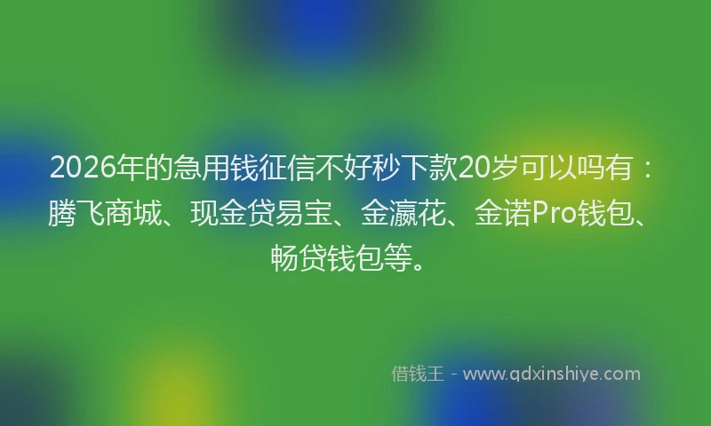 2026年的急用钱征信不好秒下款20岁可以吗有：腾飞商城、现金贷易宝、金瀛花、金诺Pro钱包、畅贷钱包等。