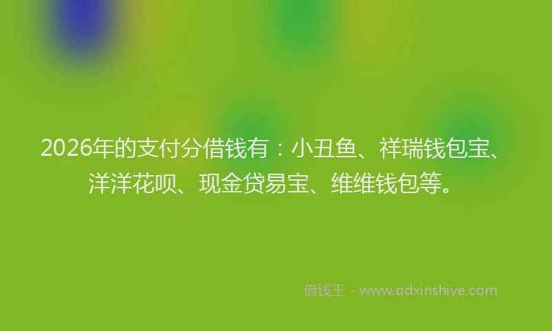 2026年的支付分借钱有：小丑鱼、祥瑞钱包宝、洋洋花呗、现金贷易宝、维维钱包等。