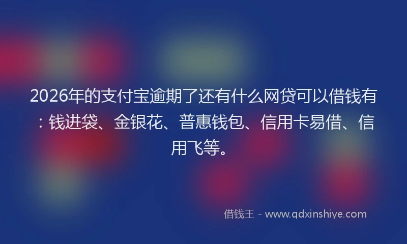 2026年的支付宝逾期了还有什么网贷可以借钱有：钱进袋、金银花、普惠钱包、信用卡易借、信用飞等。