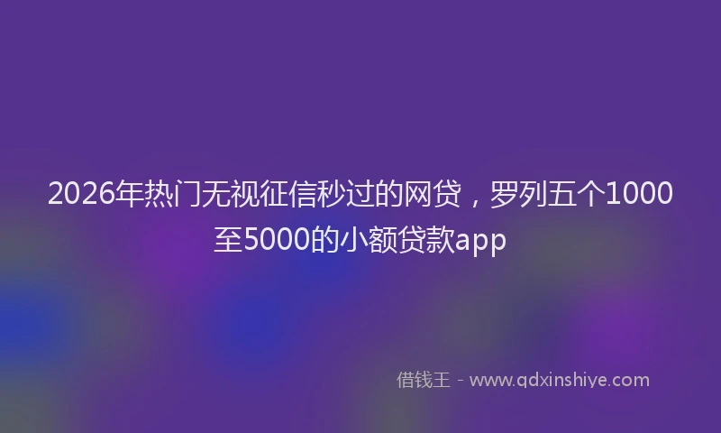 2026年热门无视征信秒过的网贷，罗列五个1000至5000的小额贷款app