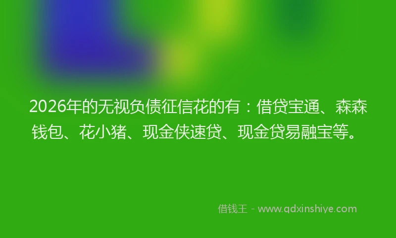 2026年的无视负债征信花的有：借贷宝通、森森钱包、花小猪、现金侠速贷、现金贷易融宝等。