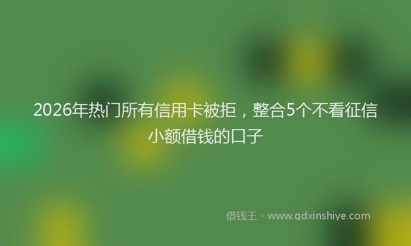 2026年热门所有信用卡被拒，整合5个不看征信小额借钱的口子