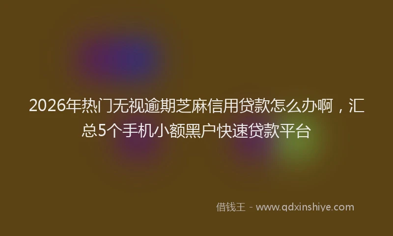 2026年热门无视逾期芝麻信用贷款怎么办啊,汇总5个手机小额黑户快速贷款平台