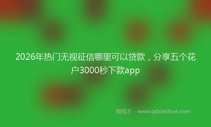 2026年热门无视征信哪里可以贷款，分享五个花户3000秒下款app
