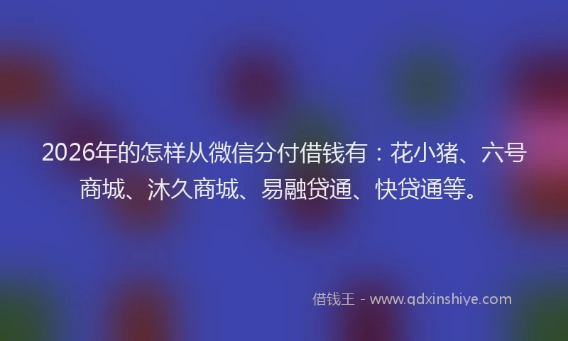 2026年的怎样从微信分付借钱有：花小猪、六号商城、沐久商城、易融贷通、快贷通等。