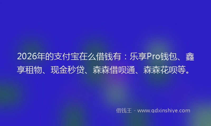2026年的支付宝在么借钱有：乐享Pro钱包、鑫享租物、现金秒贷、森森借呗通、森森花呗等。