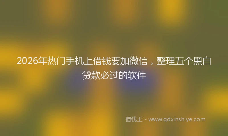 2026年热门手机上借钱要加微信，整理五个黑白贷款必过的软件