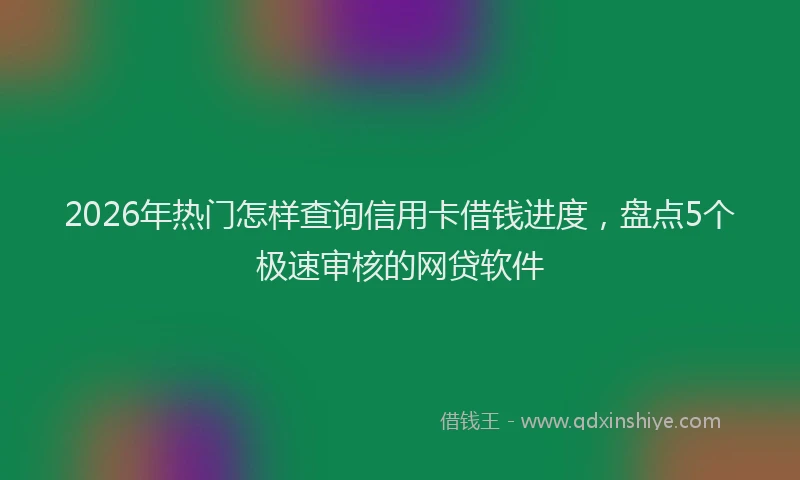 2026年热门怎样查询信用卡借钱进度,盘点5个极速审核的网贷软件