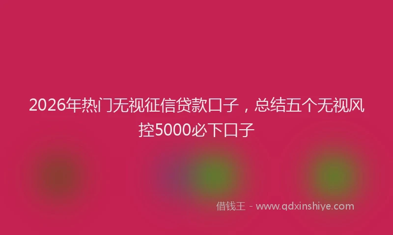 2026年热门无视征信贷款口子，总结五个无视风控5000必下口子