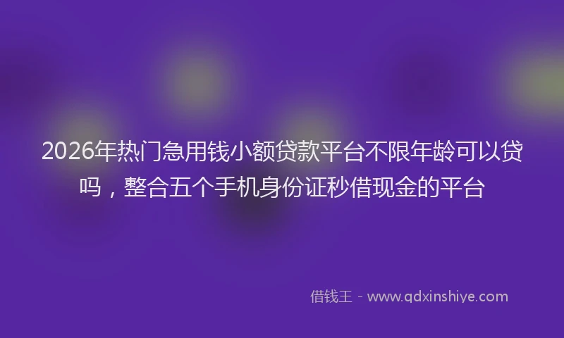 2026年热门急用钱小额贷款平台不限年龄可以贷吗,整合五个手机身份证秒借现金的平台