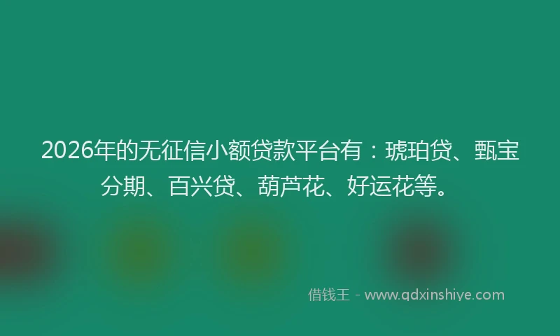 2026年的无征信小额贷款平台有：琥珀贷、甄宝分期、百兴贷、葫芦花、好运花等。