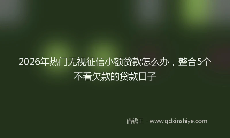 2026年热门无视征信小额贷款怎么办，整合5个不看欠款的贷款口子