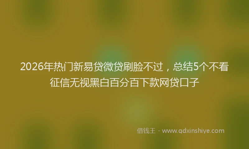 2026年热门新易贷微贷刷脸不过，总结5个不看征信无视黑白百分百下款网贷口子