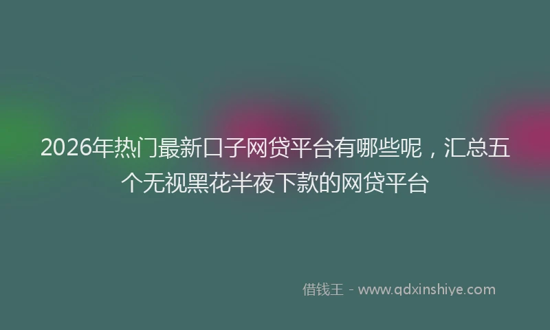 2026年热门最新口子网贷平台有哪些呢，汇总五个无视黑花半夜下款的网贷平台