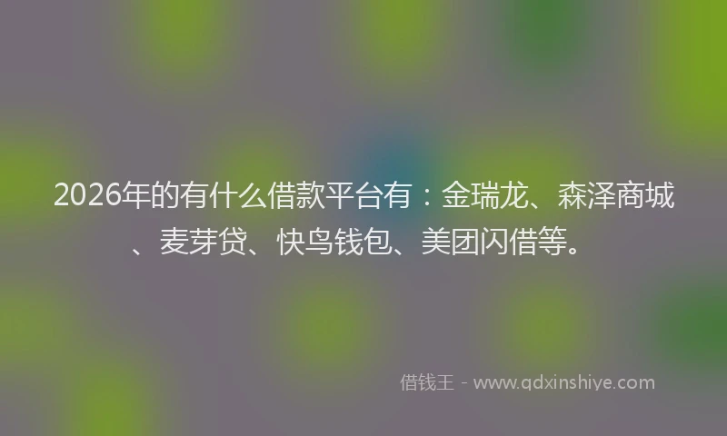2026年的有什么借款平台有：金瑞龙、森泽商城、麦芽贷、快鸟钱包、美团闪借等。
