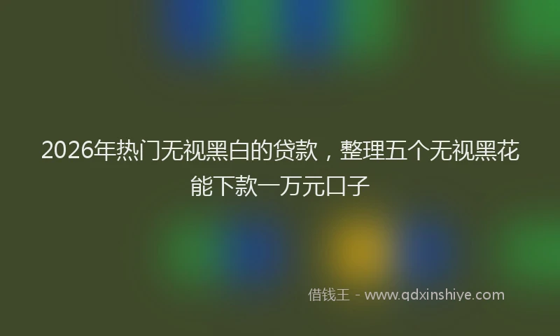 2026年热门无视黑白的贷款，整理五个无视黑花能下款一万元口子