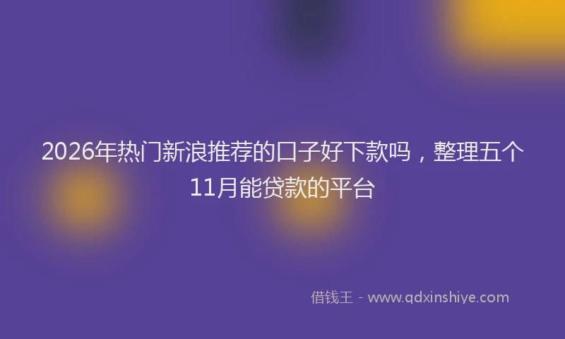 2026年热门新浪推荐的口子好下款吗，整理五个11月能贷款的平台