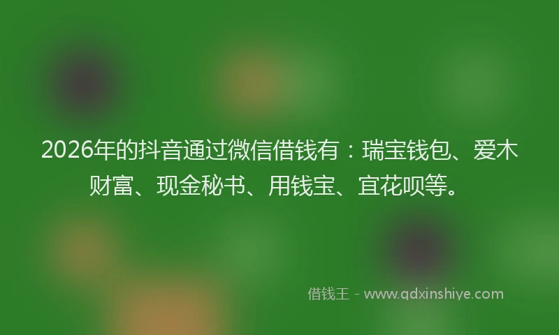 2026年的抖音通过微信借钱有：瑞宝钱包、爱木财富、现金秘书、用钱宝、宜花呗等。