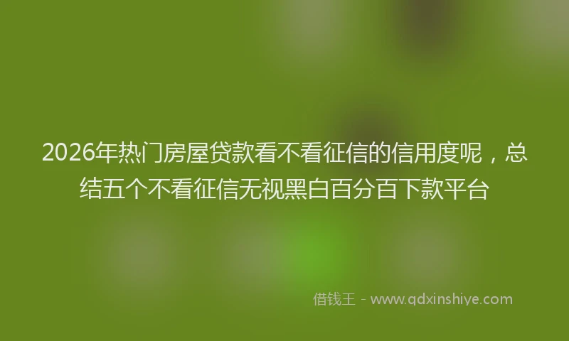 2026年热门房屋贷款看不看征信的信用度呢,总结五个不看征信无视黑白百分百下款平台