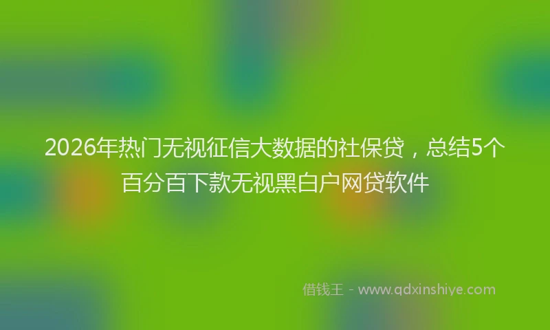 2026年热门无视征信大数据的社保贷，总结5个百分百下款无视黑白户网贷软件