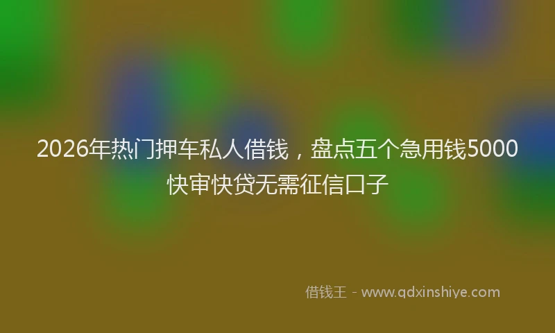 2026年热门押车私人借钱，盘点五个急用钱5000快审快贷无需征信口子