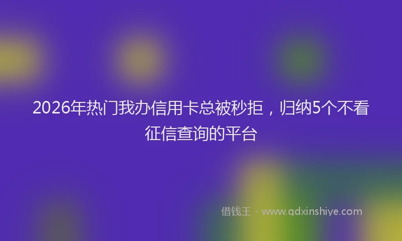 2026年热门我办信用卡总被秒拒，归纳5个不看征信查询的平台