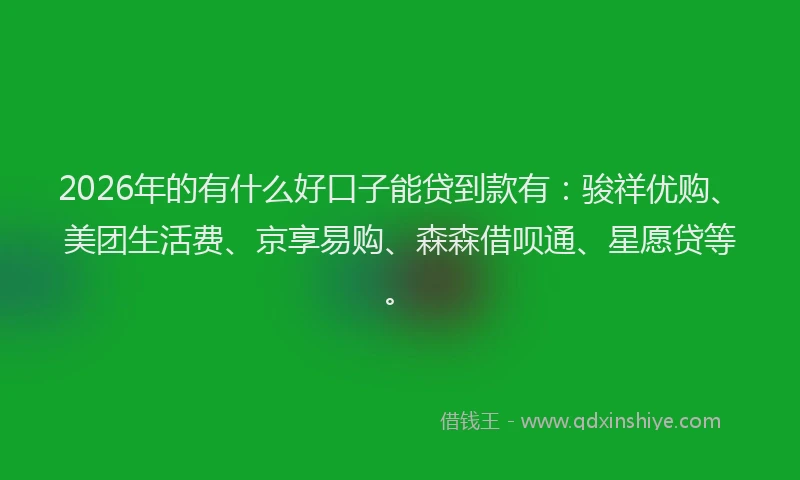 2026年的有什么好口子能贷到款有：骏祥优购、美团生活费、京享易购、森森借呗通、星愿贷等。