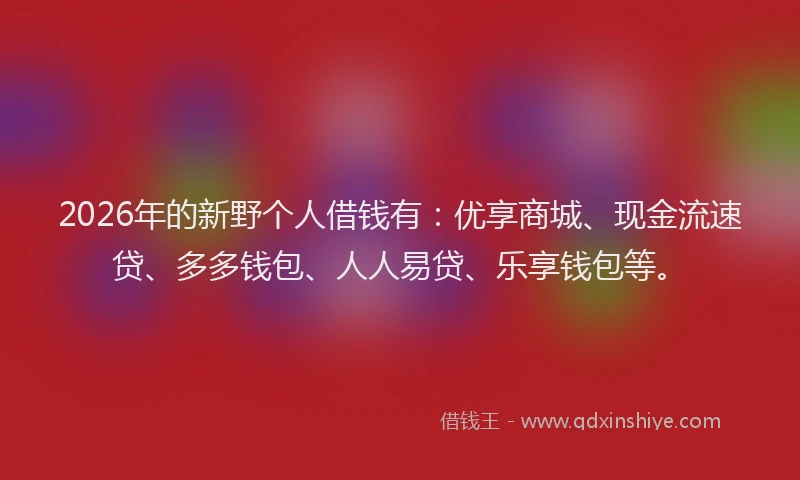2026年的新野个人借钱有：优享商城、现金流速贷、多多钱包、人人易贷、乐享钱包等。