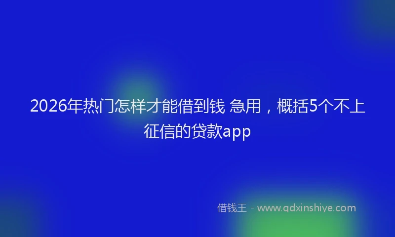 2026年热门怎样才能借到钱 急用，概括5个不上征信的贷款app