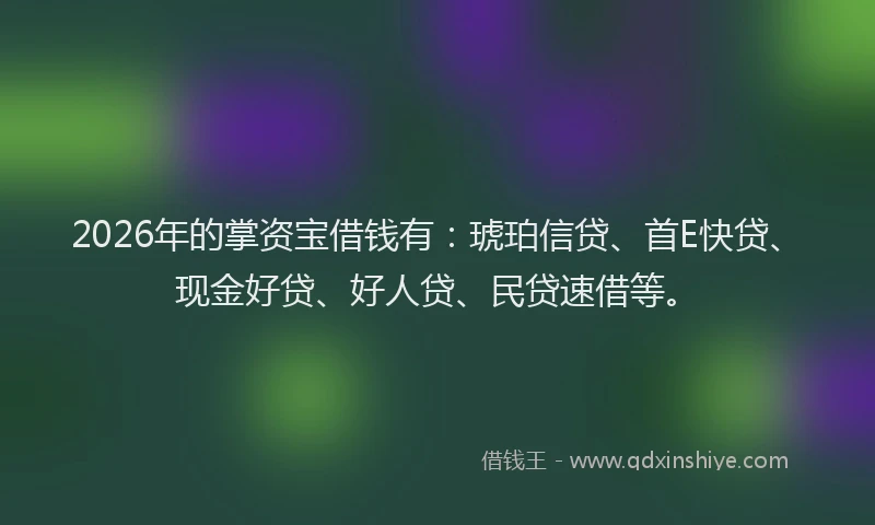 2026年的掌资宝借钱有：琥珀信贷、首E快贷、现金好贷、好人贷、民贷速借等。
