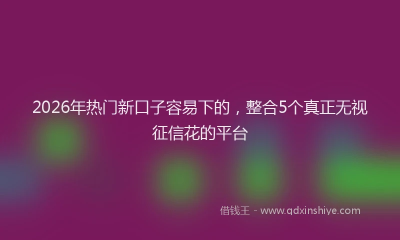 2026年热门新口子容易下的,整合5个真正无视征信花的平台