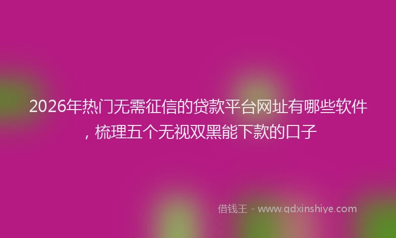 2026年热门无需征信的贷款平台网址有哪些软件，梳理五个无视双黑能下款的口子
