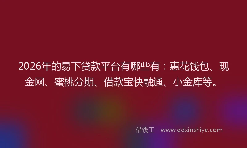 2026年的易下贷款平台有哪些有：惠花钱包、现金网、蜜桃分期、借款宝快融通、小金库等。