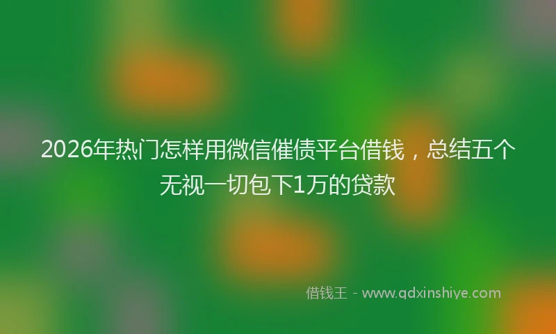 2026年热门怎样用微信催债平台借钱,总结五个无视一切包下1万的贷款