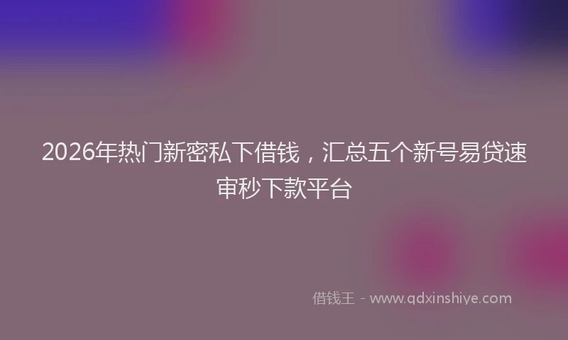 2026年热门新密私下借钱，汇总五个新号易贷速审秒下款平台