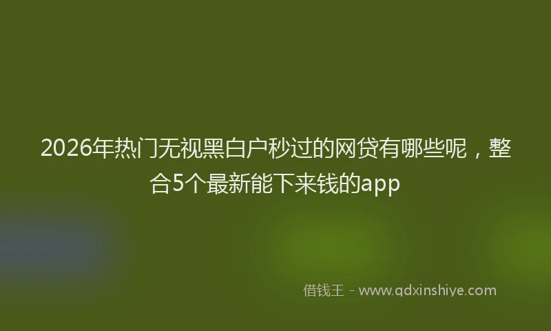 2026年热门无视黑白户秒过的网贷有哪些呢，整合5个最新能下来钱的app