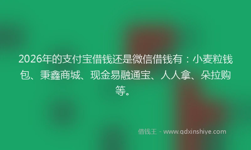 2026年的支付宝借钱还是微信借钱有：小麦粒钱包、秉鑫商城、现金易融通宝、人人拿、朵拉购等。
