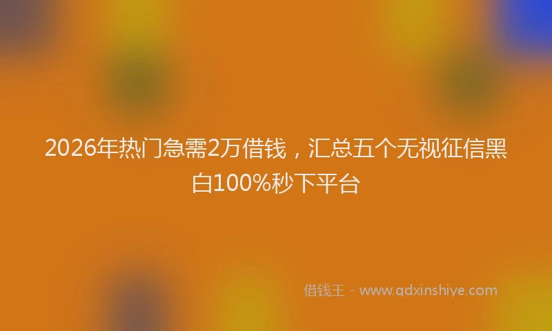 2026年热门急需2万借钱，汇总五个无视征信黑白100%秒下平台