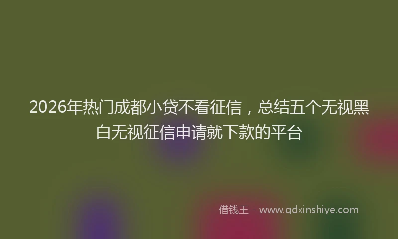 2026年热门成都小贷不看征信，总结五个无视黑白无视征信申请就下款的平台