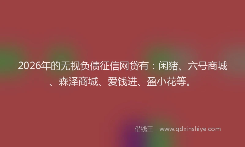 2026年的无视负债征信网贷有：闲猪、六号商城、森泽商城、爱钱进、盈小花等。