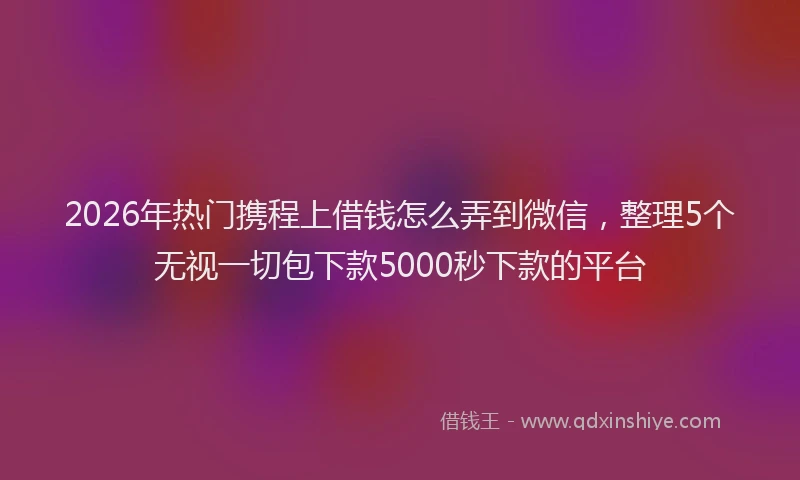 2026年热门携程上借钱怎么弄到微信，整理5个无视一切包下款5000秒下款的平台